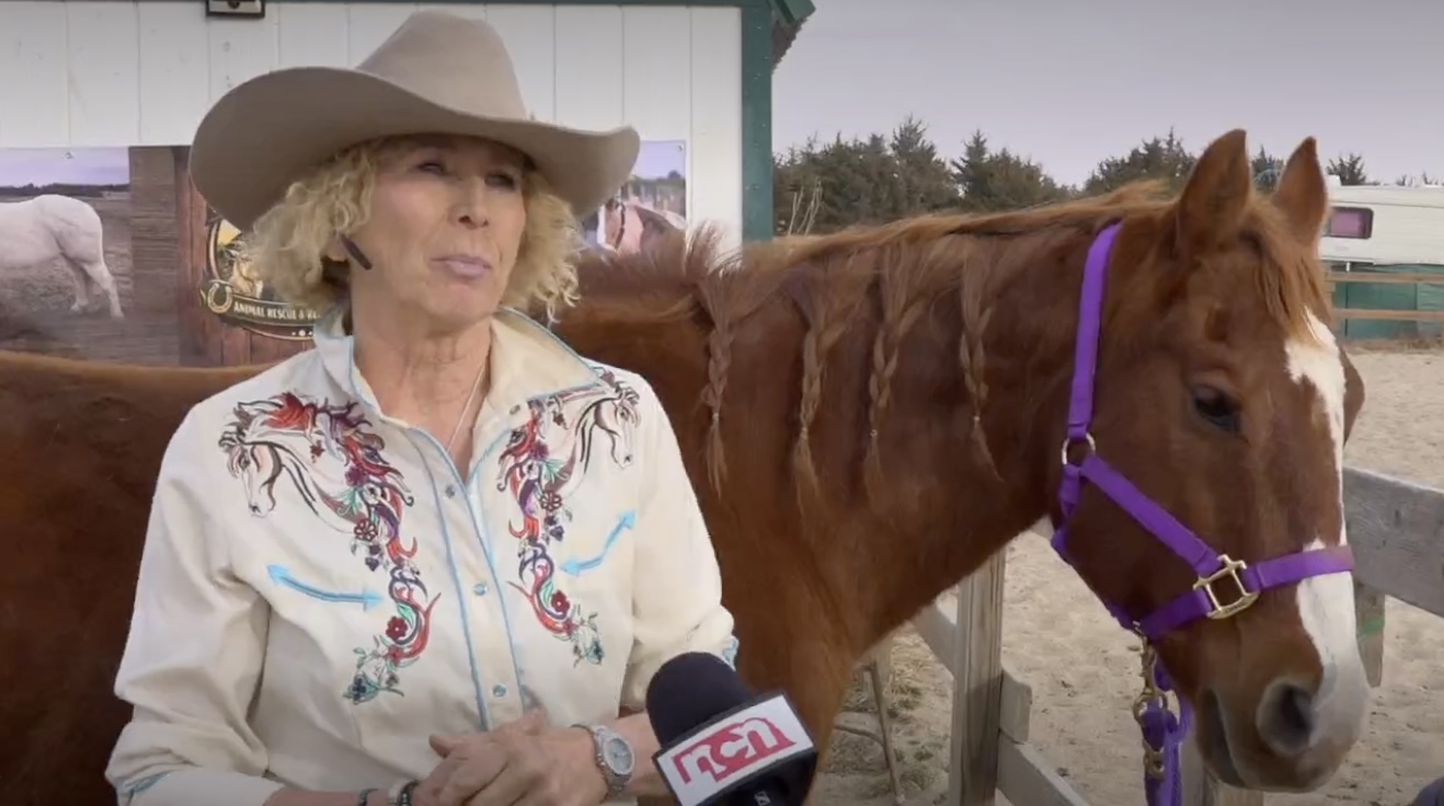 Christine Wilson interviewed by News Channel Nebraska with a rescue horse